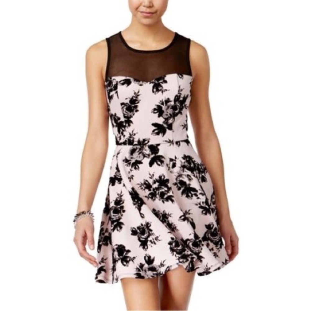 Sweet Storm Pink Black Mesh Floral Velvet Fit Dress